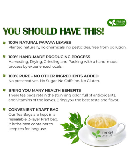 Té de Hojas de Papaya FreshDrinkUS 75 Bolsitas 100% Natural Té de Hojas de Papaya FreshDrinkUS 75 Bolsitas 100% Natural