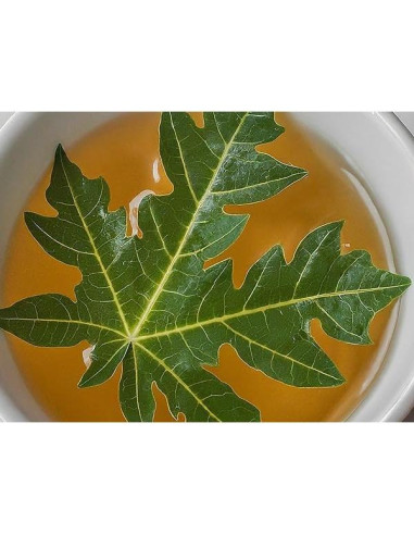 Hojas Secas de Papaya Akshit - Té Natural 73.93g Sin Aditivos