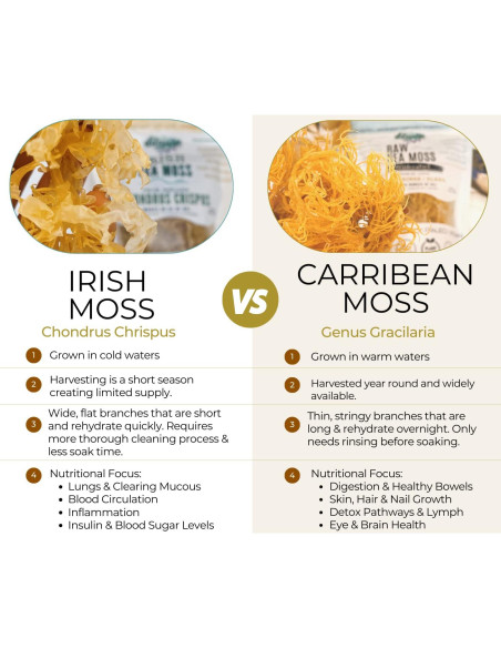 Musgo Marino Crudo Irlandés 100g - Elderwise Organics Musgo Marino Crudo Irlandés 100g - Elderwise Organics