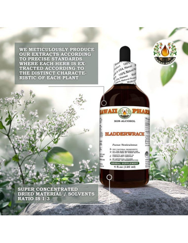 Extracto Líquido de Alga Sargazo Hawaii Pharm 60 ml Natural