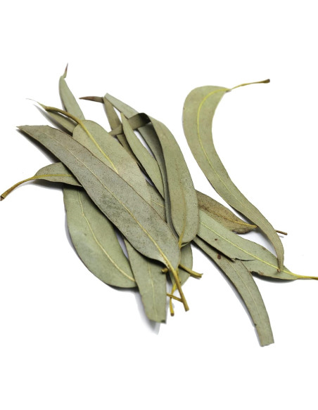 Hojas de Eucalipto Secas FullChea 114g - Sin OGM y Cafeína Hojas de Eucalipto Secas FullChea 114g - Sin OGM y Cafeína