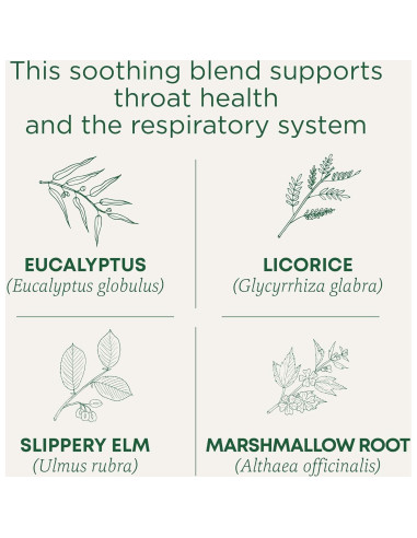 Té Eucalipto Orgánico Tradicionales Medicinales 16 Bolsitas