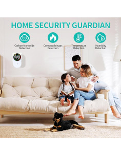 Detector de Fugas de Gas Natural y Monóxido de Carbono A3 2