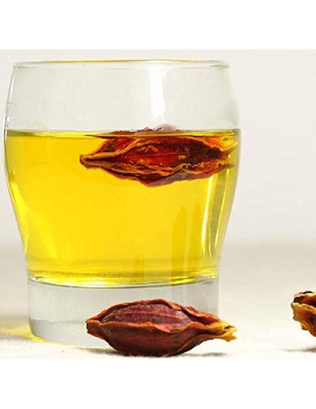 Fruto de Gardenia Seco Nature Tea 56.7 g - 100% Natural Fruto de Gardenia Seco Nature Tea 56.7 g - 100% Natural