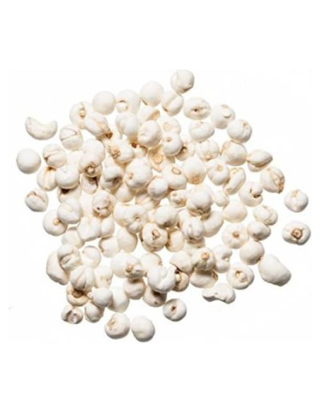 Chuan Bei Mu Plum Dragon Herbs 28.35 g - Bulbo de Fritillaria Chuan Bei Mu Plum Dragon Herbs 28.35 g - Bulbo de Fritillaria