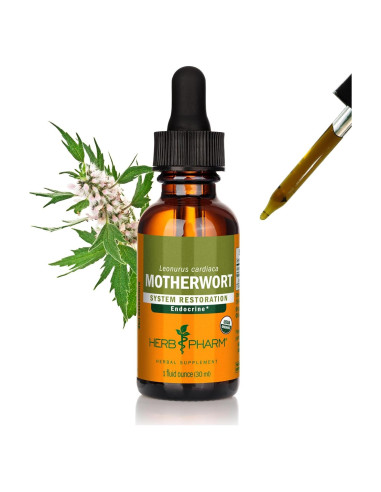 Extracto Líquido de Madre Selva Herb Pharm 30ml Orgánico
