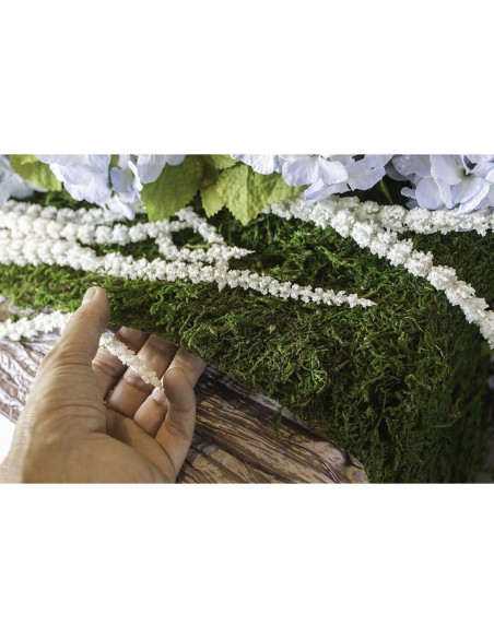 Alfombra de Musgo Verde Instantáneo SuperMoss 0.46x7.32m Alfombra de Musgo Verde Instantáneo SuperMoss 0.46x7.32m