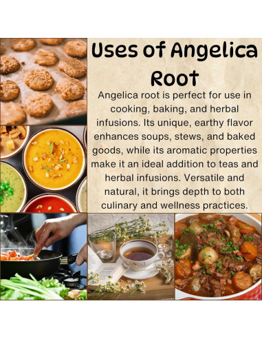 Raíz de Angélica Archangelica 99.22 g - Té Herbal Premium