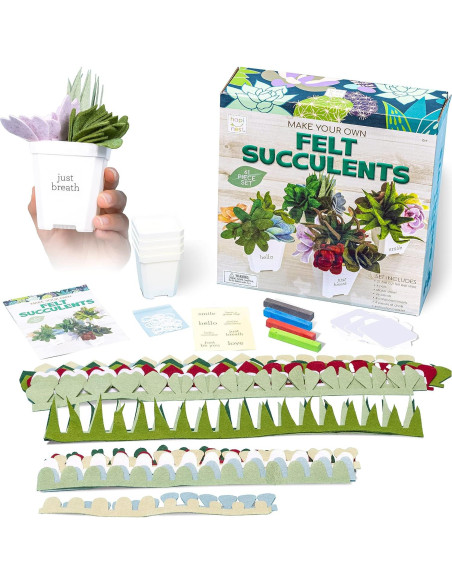Kit de Manualidades de Suculentas de Fieltro Hapinest 21.6x21.6 cm Kit de Manualidades de Suculentas de Fieltro Hapinest 21.6x21.6 cm