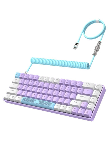 Teclado Mecánico ZIYOU LANG RK-T8 65% RGB Anti-ghosting