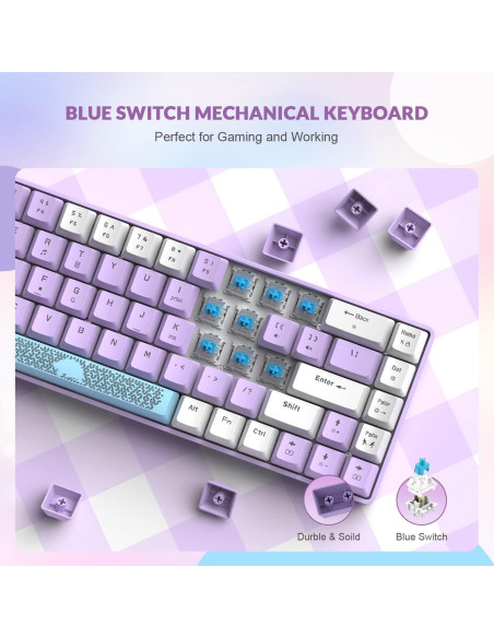 Teclado Mecánico ZIYOU LANG RK-T8 65% RGB Anti-ghosting Teclado Mecánico ZIYOU LANG RK-T8 65% RGB Anti-ghosting
