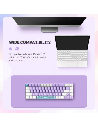 Teclado Mecánico ZIYOU LANG RK-T8 65% RGB Anti-ghosting