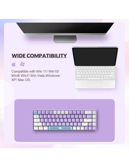 Teclado Mecánico ZIYOU LANG RK-T8 65% RGB Anti-ghosting Teclado Mecánico ZIYOU LANG RK-T8 65% RGB Anti-ghosting