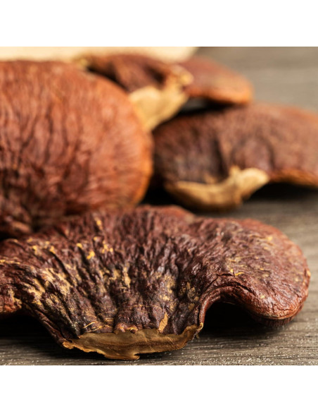 Hongo Reishi en Polvo 0.45 kg Ingredientes Originales Puros Hongo Reishi en Polvo 0.45 kg Ingredientes Originales Puros