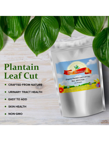 Hoja de Plátano Cortada 113.4g Mejores Botánicos Orgánica Hoja de Plátano Cortada 113.4g Mejores Botánicos Orgánica