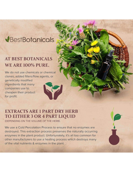 Hoja de Plátano Cortada 113.4g Mejores Botánicos Orgánica Hoja de Plátano Cortada 113.4g Mejores Botánicos Orgánica