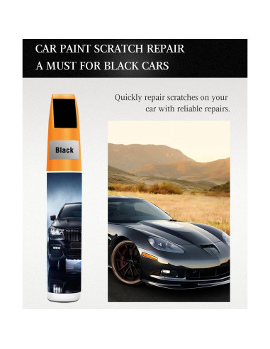 Pintura de Retoque Negra Brillante Filmer 12 ml para Coches
