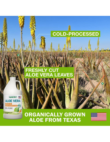 Gel Bebible de Aloe Vera Puro Land Art 1.89 L Sabor Naranja y Mandarina