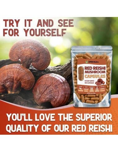 Cápsulas de Hongo Reishi Orgánico XPRS Nutra 180 Unidades