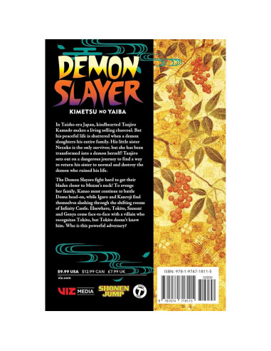 Demon Slayer: Kimetsu no Yaiba, Vol. 19 (19)