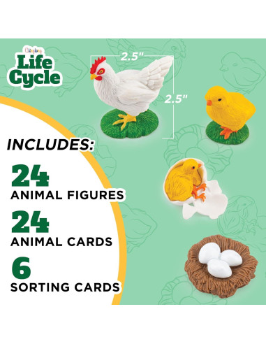 Kit de Ciclo de Vida de Animales GLINGLONG - 24 Piezas Educativas