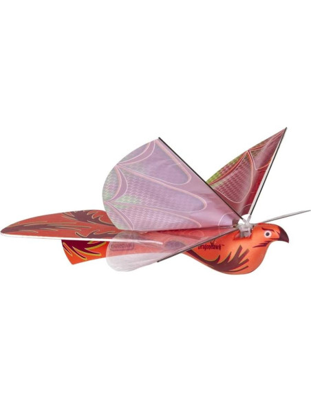Duncan Dragon Hawk Juguete Volador Motorizado Luz LED 24 cm Duncan Dragon Hawk Juguete Volador Motorizado Luz LED 24 cm