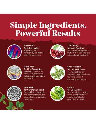 Extracto de Grano de Café Verde Natures Craft 60 Cápsulas