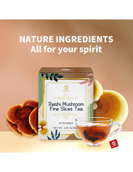 Té de Reishi Ganoderma Lucidum 10 Bolsas 30g Orgánico Té de Reishi Ganoderma Lucidum 10 Bolsas 30g Orgánico