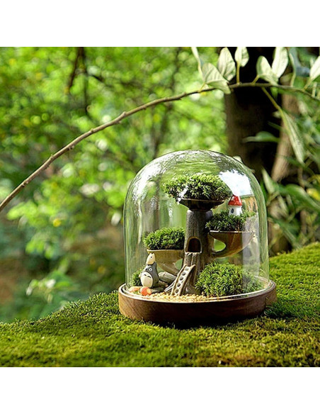 Musgo Preservado NAHUAA 0.20 m Verde para Decoración Musgo Preservado NAHUAA 0.20 m Verde para Decoración
