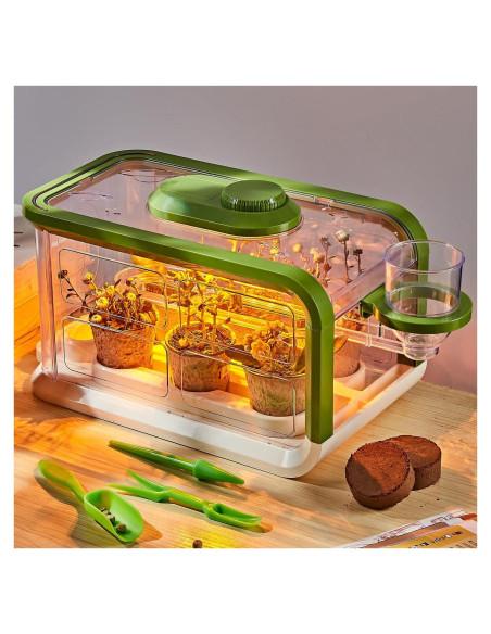 Kit de Crecimiento de Plantas para Niños Mostop con Riego y Luz Kit de Crecimiento de Plantas para Niños Mostop con Riego y Luz