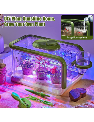 Kit de Crecimiento de Plantas para Niños Mostop con Riego y Luz