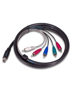 Cable de Audio y Video 10 Pines SatelliteSale 1.83m PVC