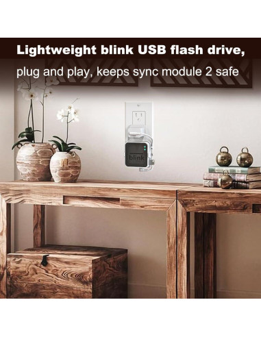 Unidad Flash USB 256GB Dukoyb + Soporte Pared Blink