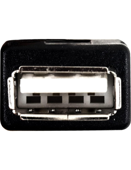 Adaptador USB hembra para Xbox original Risingsaplings 77.47 cm Adaptador USB hembra para Xbox original Risingsaplings 77.47 cm