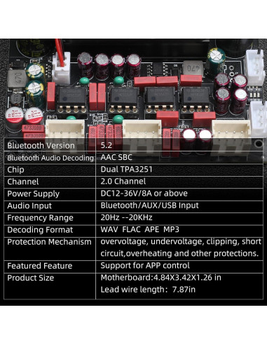 Placa Amplificador Potencia DAJUNGUO T220HS-W 220W 2.0 Canales