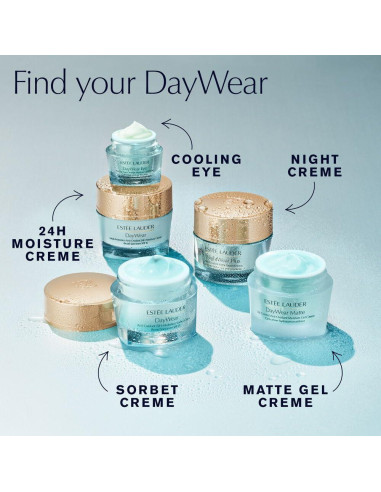 Crema Sorbete Hidratante Estée Lauder 72H SPF 15 156g
