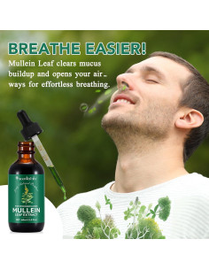 Gotas de Mullein 30 ml - Suplemento Herbal para Pulmones 2