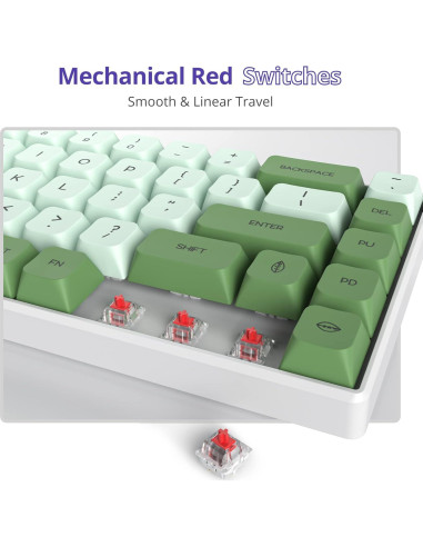 Teclado Mecánico Owpkeenthy 65% RGB Switch Rojo Matcha