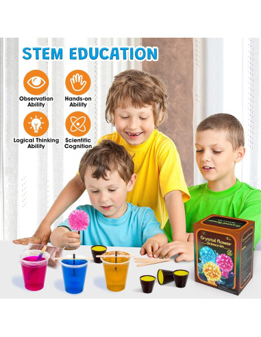 Kit de Crecimiento de Cristales GobiDex para Niños 6-12 Años