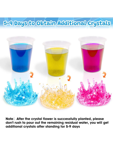 Kit de Crecimiento de Cristales GobiDex para Niños 6-12 Años Kit de Crecimiento de Cristales GobiDex para Niños 6-12 Años