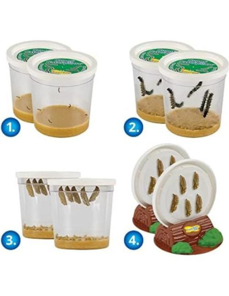 Insect Lore Kit de Orugas Vivas 2 Tazas + Figuras Ciclo Vida Insect Lore Kit de Orugas Vivas 2 Tazas + Figuras Ciclo Vida