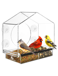 Comedero para Aves de Ventana Gray Bunny 0.71L Transparente