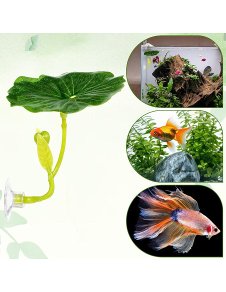 Hamaca para Peces Betta QfwdfcTrenz 3 Pcs Verde Decorativa