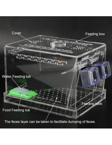 Caja de Grillos Acrílica Shanrya con Tapa Removible (L)