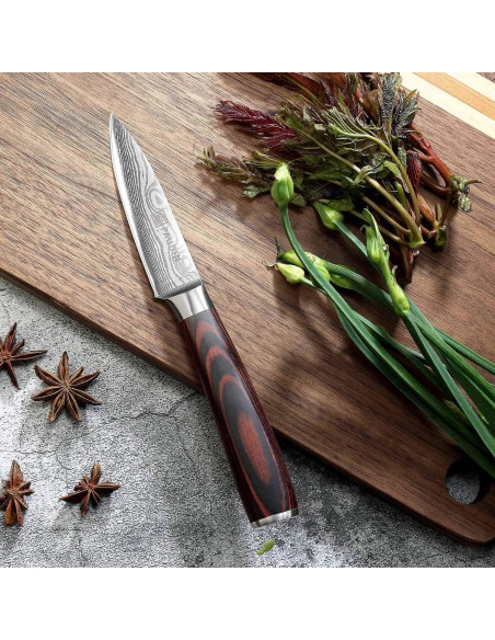 Cuchillo de Pelar PAUDIN 20 cm Acero Inoxidable Pakkawood Cuchillo de Pelar PAUDIN 20 cm Acero Inoxidable Pakkawood