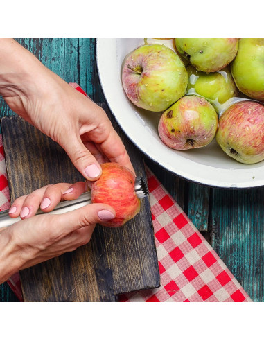 Juego de 4 Descorazonadores de Frutas Mudder de Acero Inoxidable