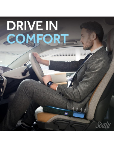 Cojín Viscoelástico Sealy SL11088 para Sillas de Coche y Oficina