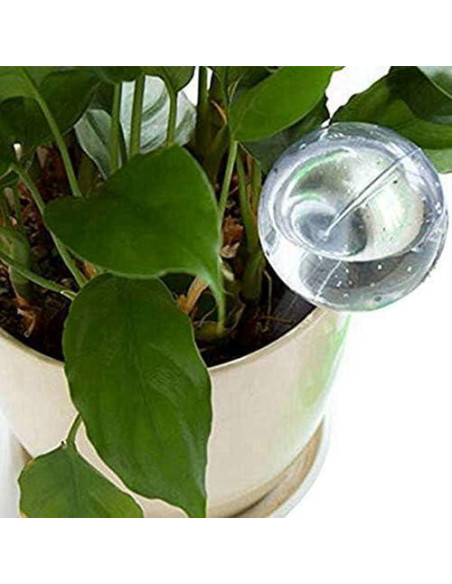 Esferas de Riego Automático Zenarao para Plantas 2Pcs Esferas de Riego Automático Zenarao para Plantas 2Pcs