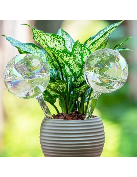 Esferas de Riego Automático MOONSOUND 2pcs Vidrio para Plantas Esferas de Riego Automático MOONSOUND 2pcs Vidrio para Plantas
