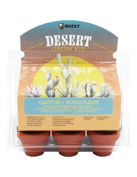 Mini Invernadero Buzzy para Cactus y Suculentas - Kit de Jardinería Mini Invernadero Buzzy para Cactus y Suculentas - Kit de Jardinería